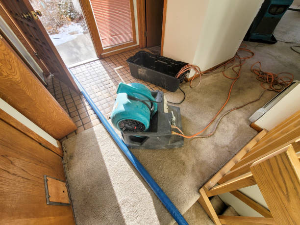 Best Water damage restoration cost  in Sheldon, IA