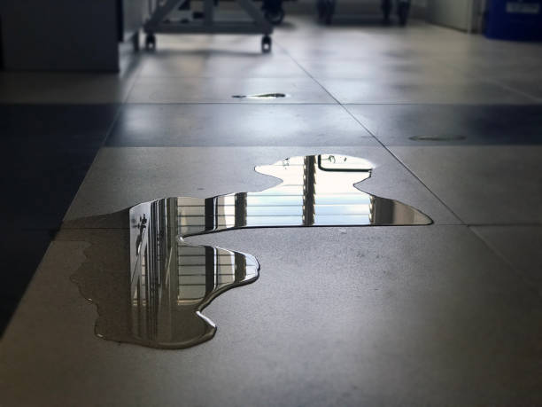 Best Water damage restoration near me  in Sheldon, IA