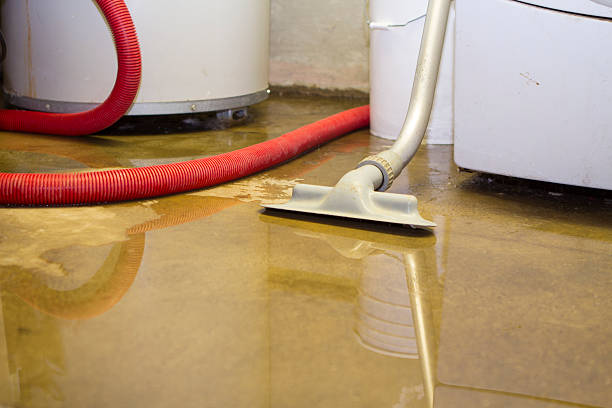 Best 24-hour water damage restoration  in Sheldon, IA