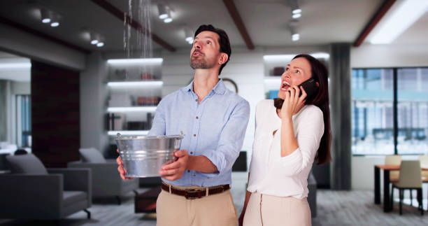 Best Residential water damage restoration  in Sheldon, IA