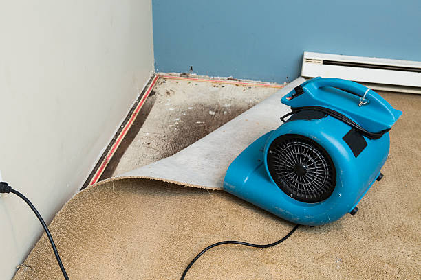 Reliable Sheldon, IA Water damage restoration Solutions